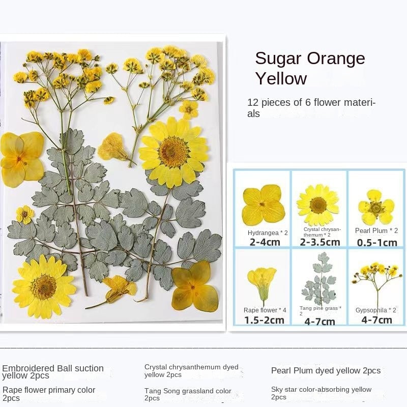 🎁Last Day 50% OFF💐DIY Transparent Dried Flower Bookmarks Set