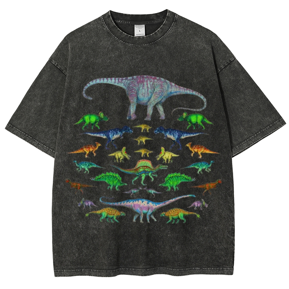 Vivid Dinosaurs Unisex Vintage Washed Tee