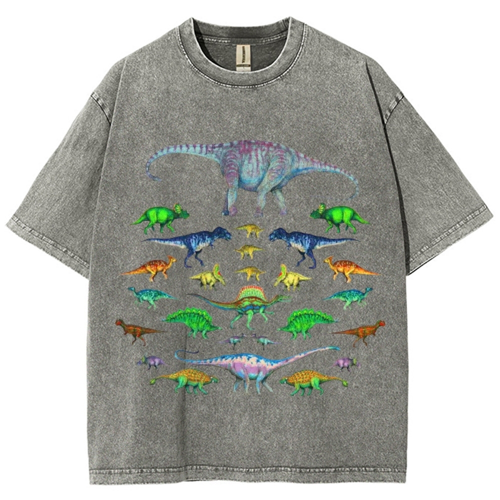 Vivid Dinosaurs Unisex Vintage Washed Tee