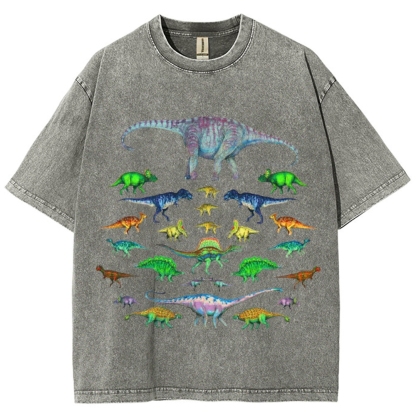 Vivid Dinosaurs Unisex Vintage Washed Tee
