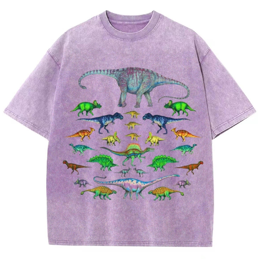 Vivid Dinosaurs Unisex Vintage Washed Tee