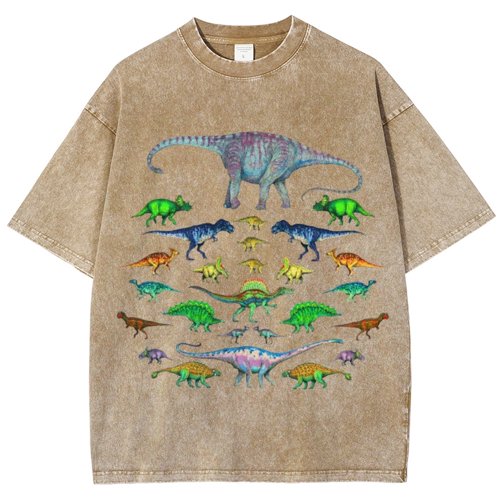 Vivid Dinosaurs Unisex Vintage Washed Tee