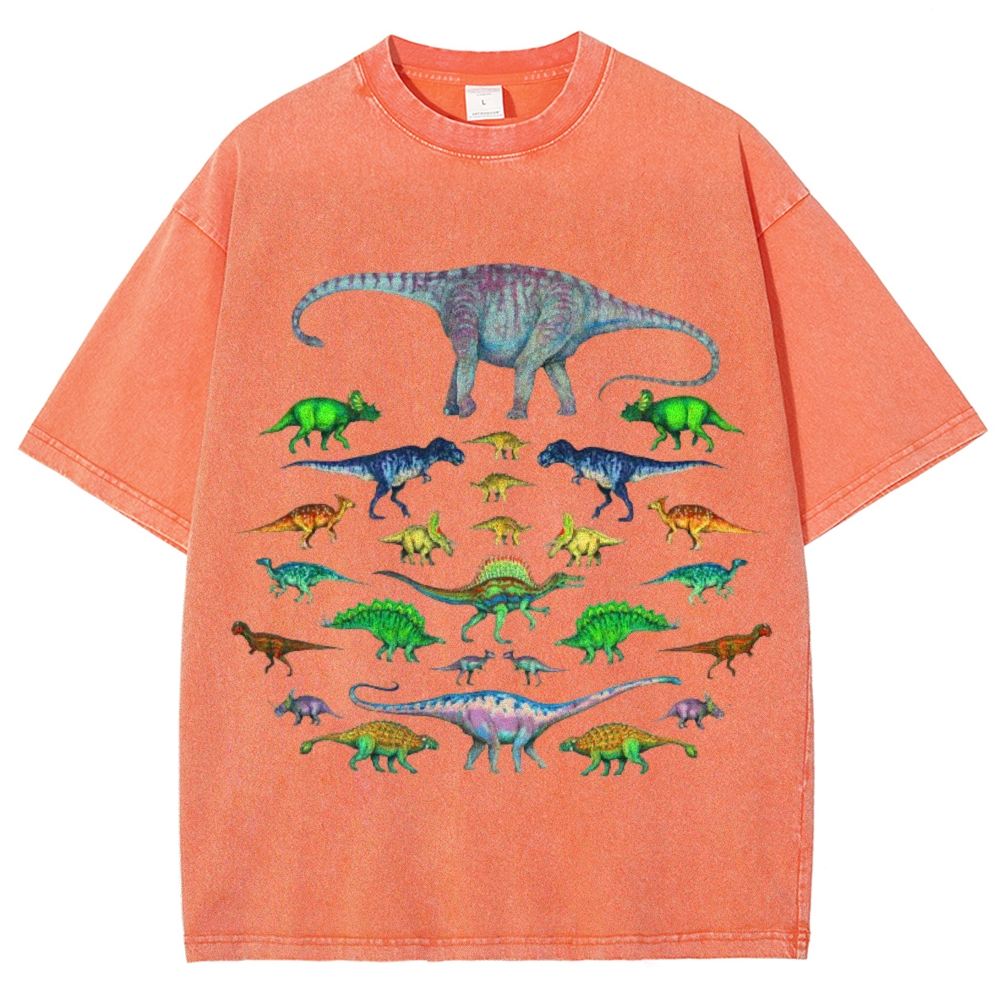Vivid Dinosaurs Unisex Vintage Washed Tee