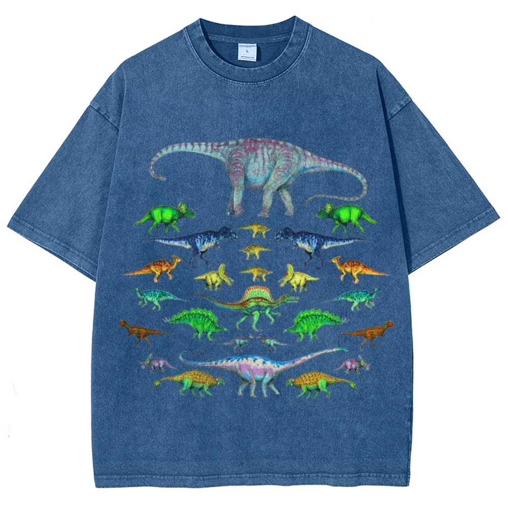 Vivid Dinosaurs Unisex Vintage Washed Tee