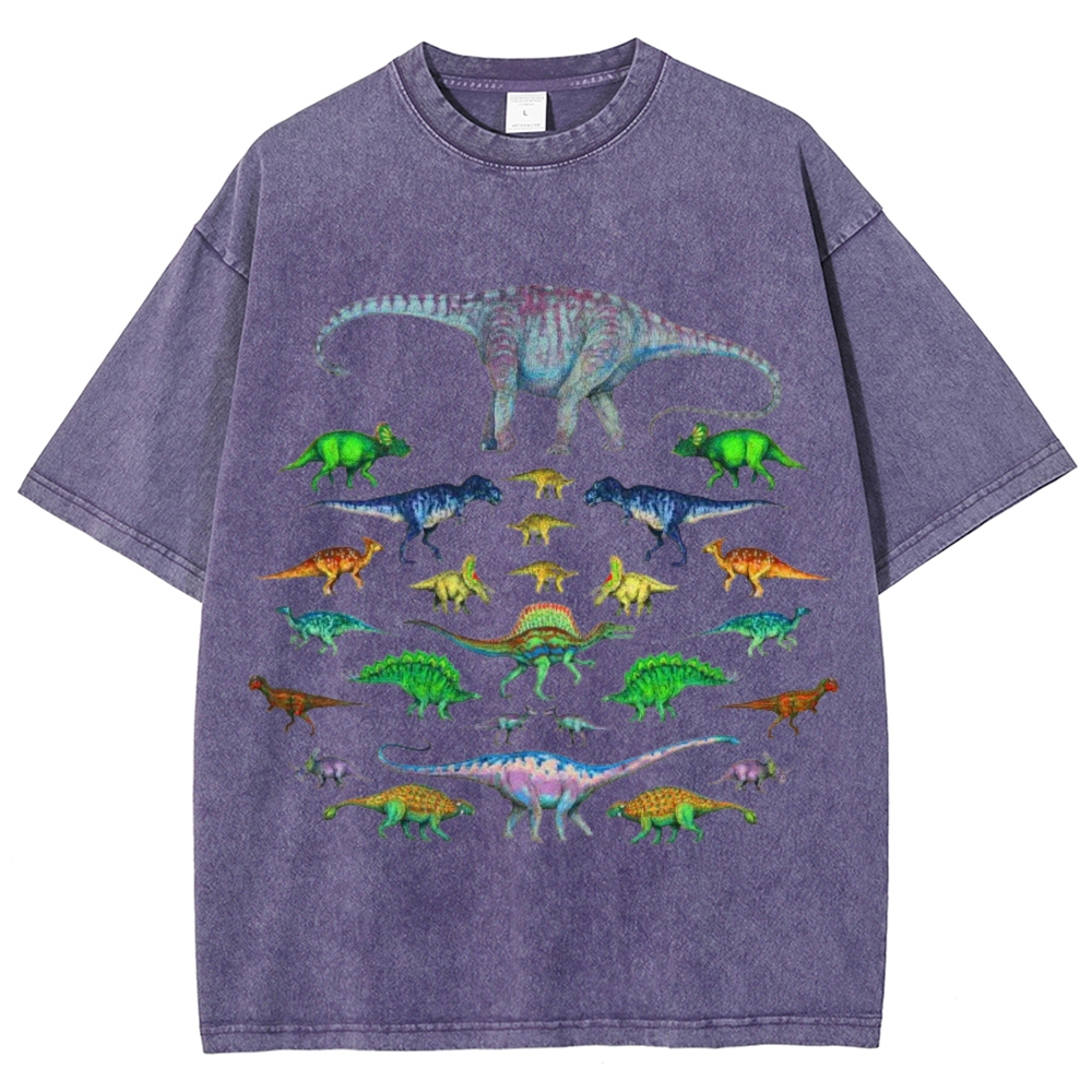 Vivid Dinosaurs Unisex Vintage Washed Tee