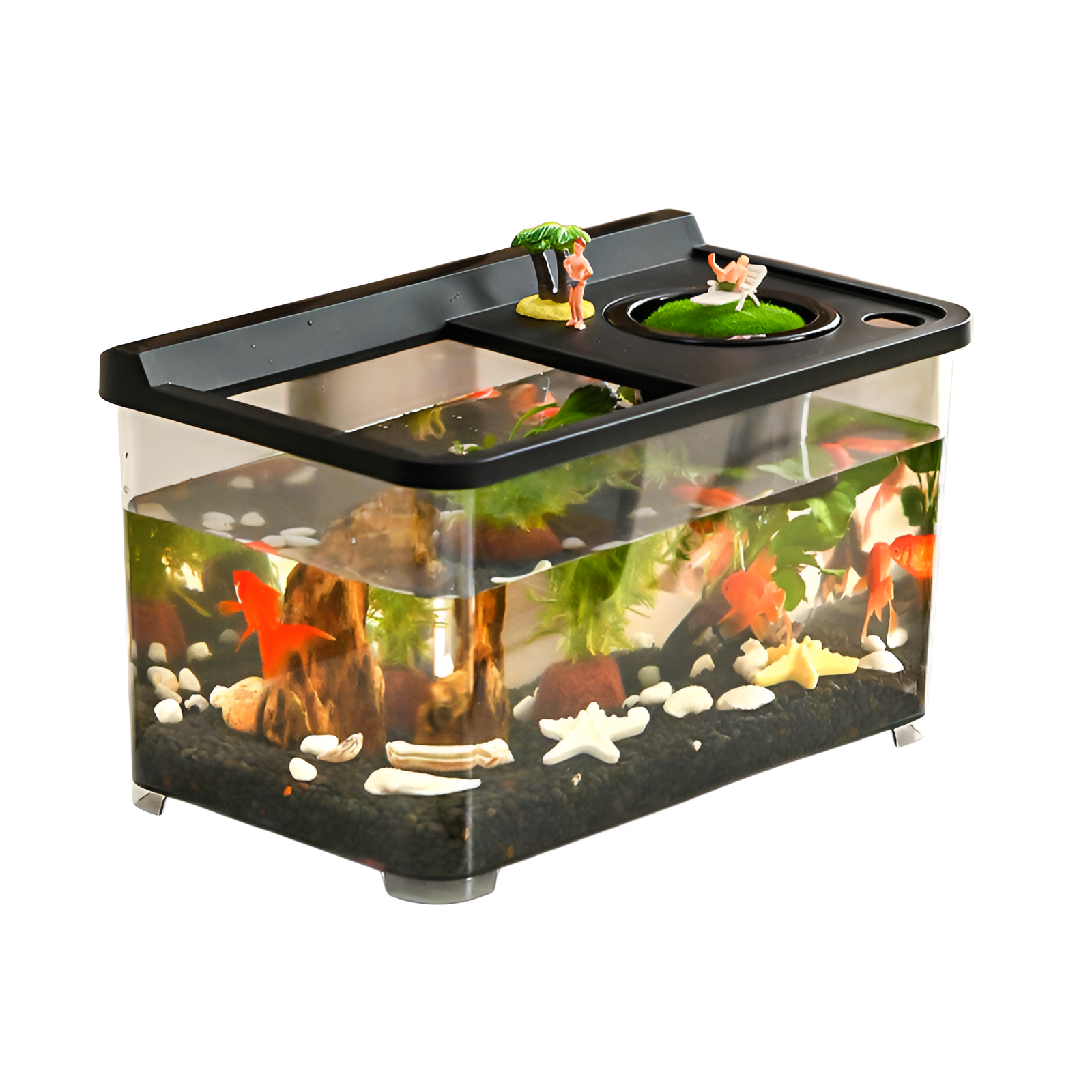 Living room with covered goldfish tank for viewing household small and medium-sized aquarium plastic