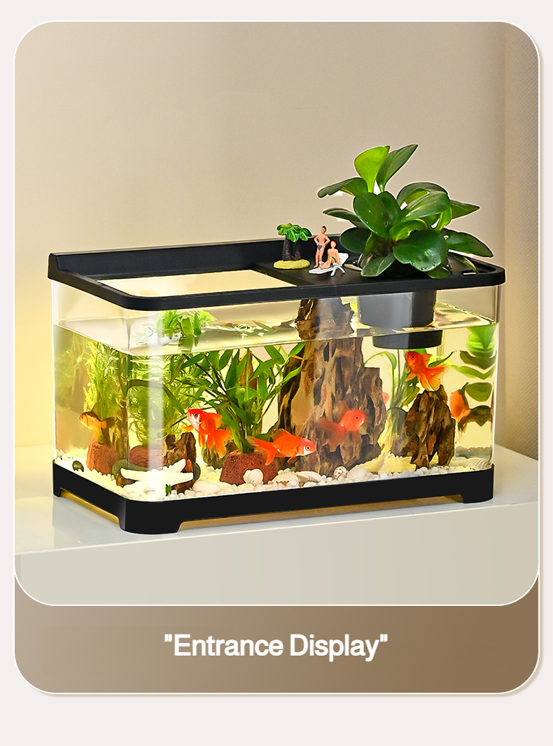Elegant goldfish aquarium enhancing living room aesthetics