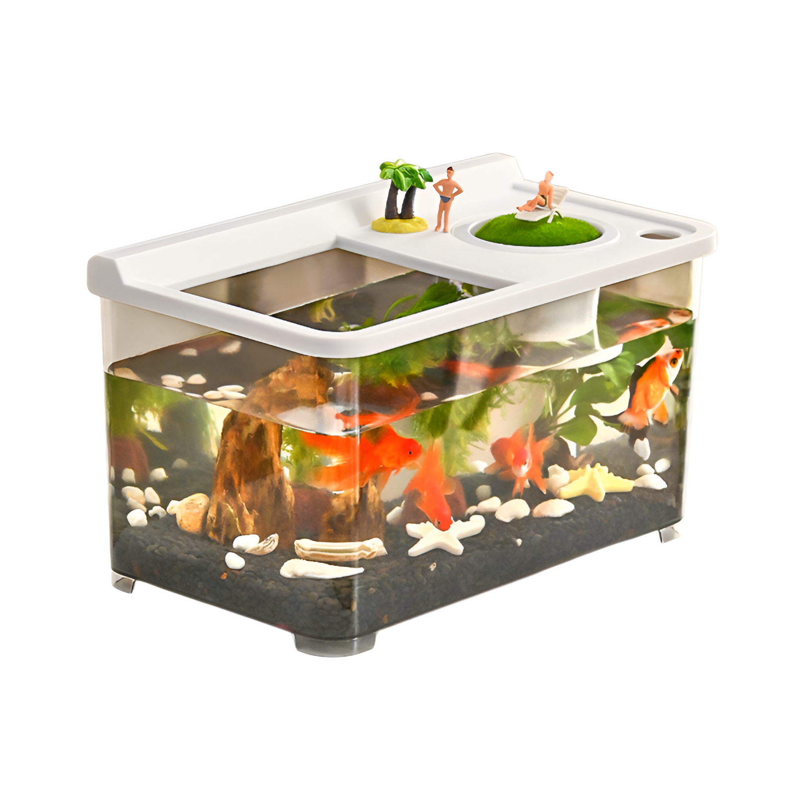 Living room with covered goldfish tank for viewing household small and medium-sized aquarium plastic