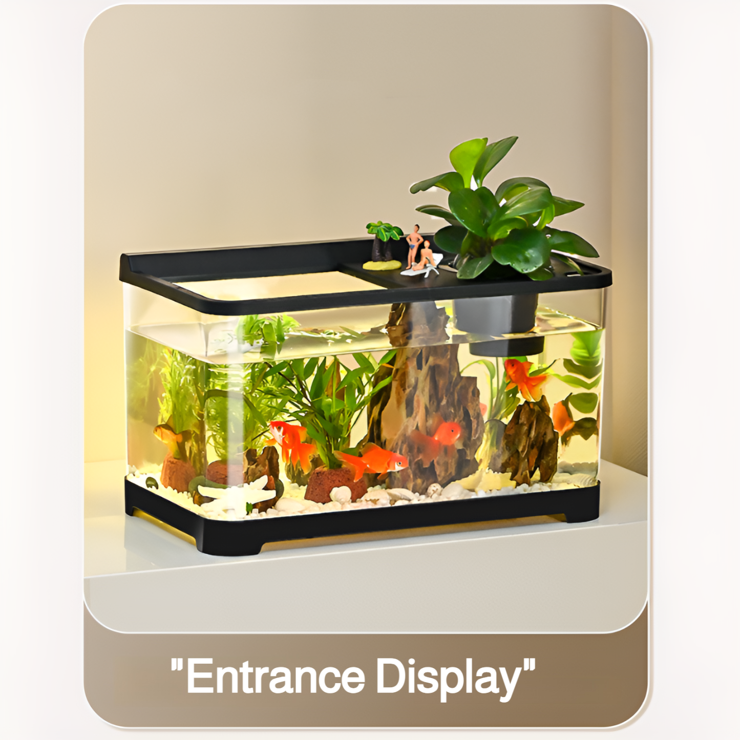 Living room with covered goldfish tank for viewing household small and medium-sized aquarium plastic