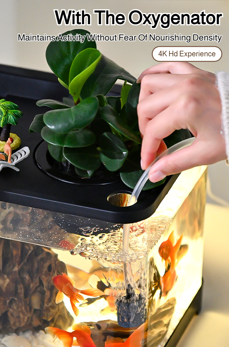 Stylish goldfish tank for living room interior