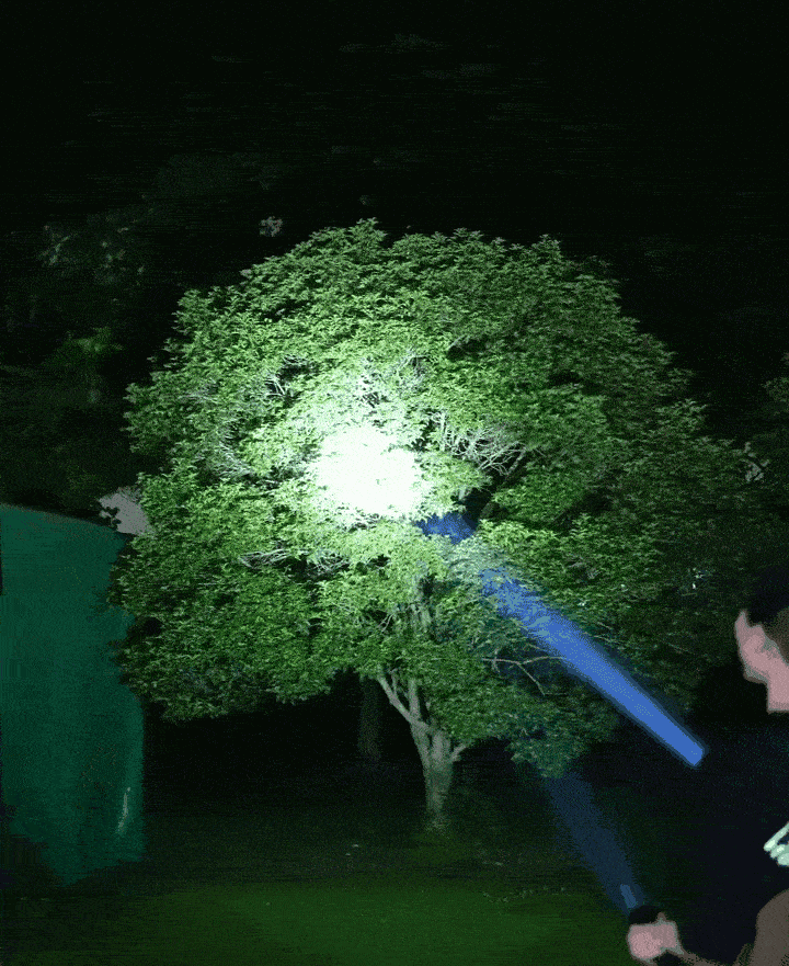 10.gif