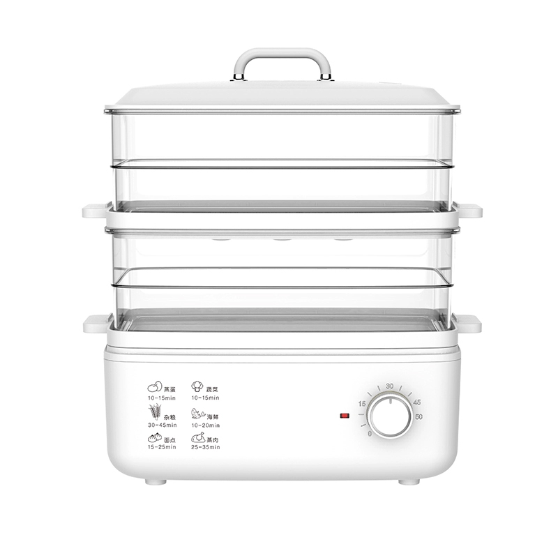 Multi-purpose double-layer electric steamer
