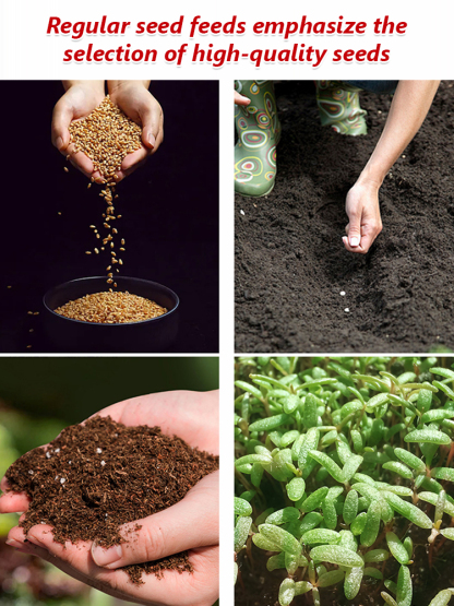 Fast Growing Climbing Roses - 7 Magic Colors - Grows 1.3" Daily! 🌸 Dream-Like Flower Wall | Cold and Heat Resistant ✅ 2026 New Stock