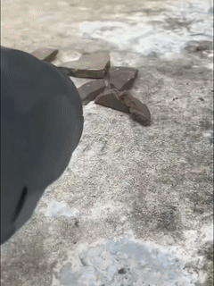 1-ezgif.com-video-to-gif-converter.gif