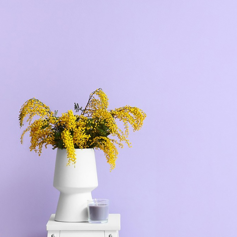 wall paint latex paint