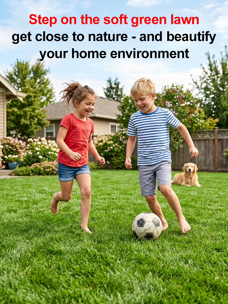 🌱 Self-Healing Bermuda Grass Seed No Mow Technology 99 Percent Germination 650sq ft Coverage