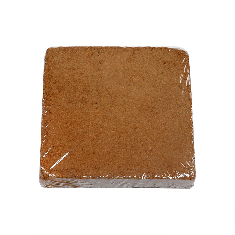 Introducing the organic natural coconut coir soil: 🌱 Just water, no need for fertilizer! A lifesaver for gardening enthusiasts! 🏡🌿