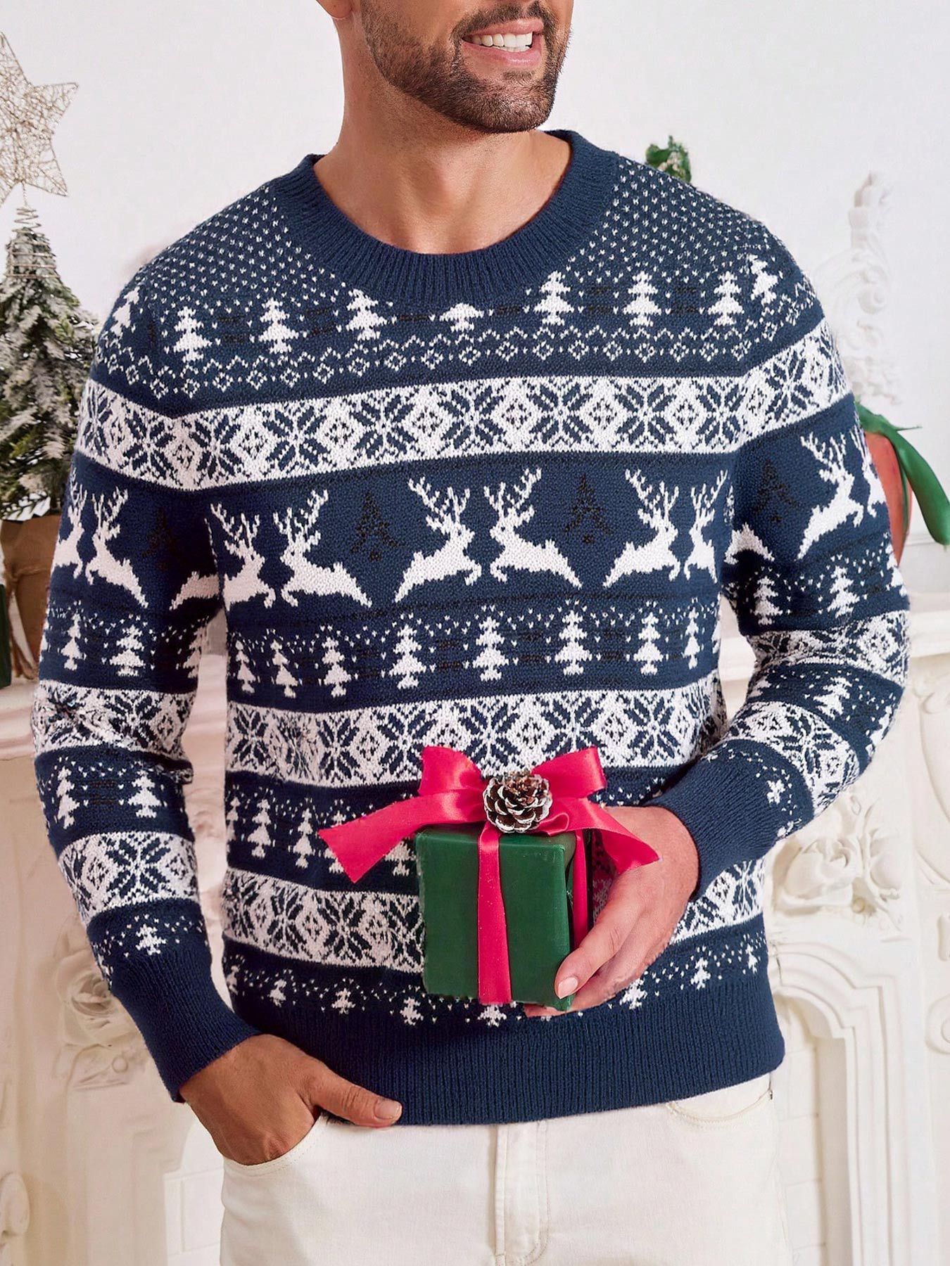 Crew Neck Christmas Jacquard Knit Sweater