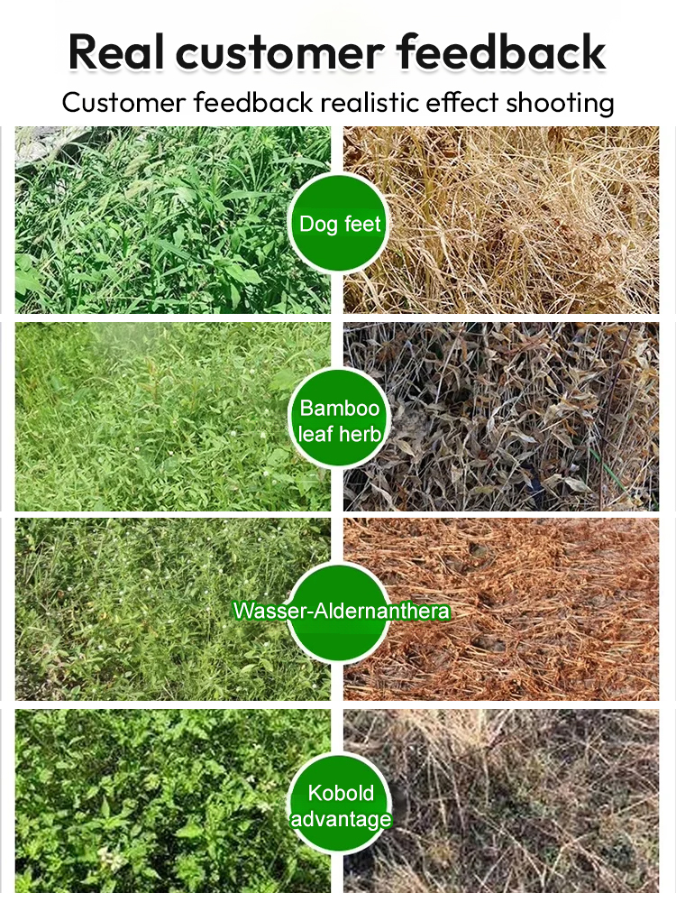 🌱Scientifically Engineered for US Soil♻️ Targeted Weed Removal | 10X Faster Eco-Friendly Herbicide