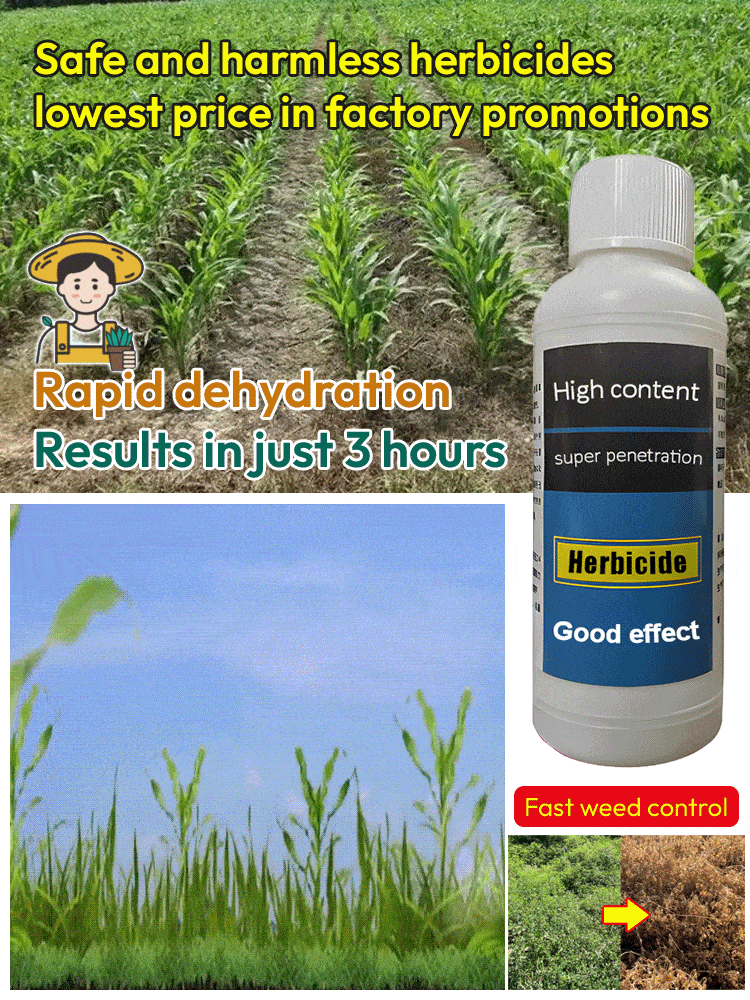 🌱Scientifically Engineered for US Soil♻️ Targeted Weed Removal | 10X Faster Eco-Friendly Herbicide