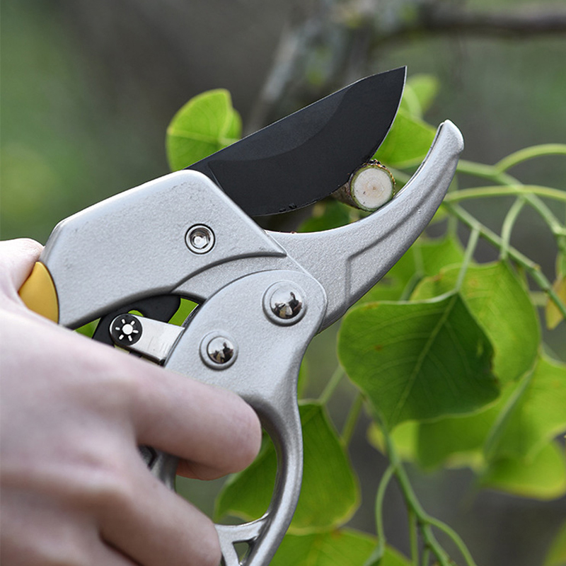TH power-saving pruning shears