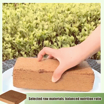 Rich in nitrogen, phosphorus, and potassium elements 🌿 Coco Coir Sterile Potting Mix