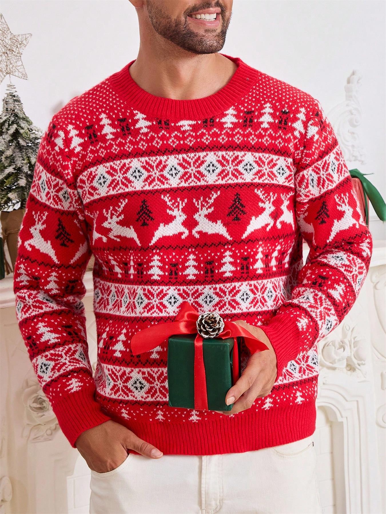 Crew Neck Christmas Jacquard Knit Sweater