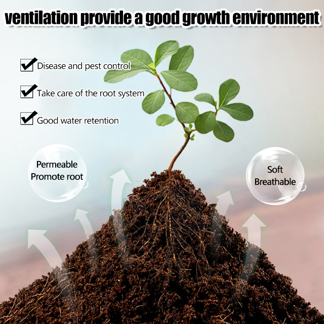 Rich in nitrogen, phosphorus, and potassium elements 🌿 Coco Coir Sterile Potting Mix