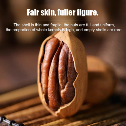 Texas Improved Cold-Resistant 2-Year-Old High-Quality Pecan Trees, Plant Now, Harvest Next Year! 🌳🥜