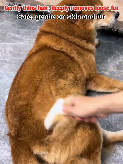 🐾 Pet Deshedding Brush for Dogs Cats Removes 95% Loose Fur Skin-Safe Curved Teeth Professional Results at Home 🏠 Free Glove Included