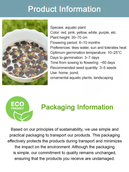 【Black Friday Winter Sale】🌼 Suitable for all seasons,Thriving with Water! Natural Air Purifier! Blooming House with Fragrant Hydroponic Lotus 🌼