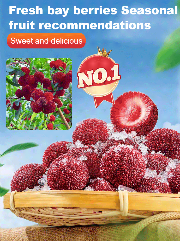 A new variety of red berry resistant to cold, drought and pests! 🌿🍒 Plant now, harvest in June!
