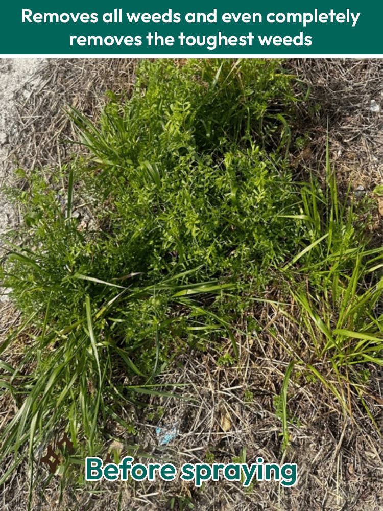 🌱Scientifically Engineered for US Soil♻️ Targeted Weed Removal | 10X Faster Eco-Friendly Herbicide