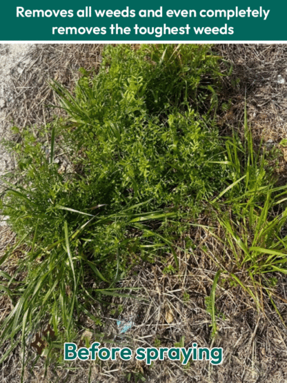 🌱Scientifically Engineered for US Soil♻️ Targeted Weed Removal | 10X Faster Eco-Friendly Herbicide