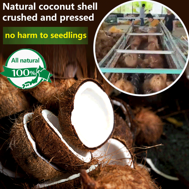 Rich in nitrogen, phosphorus, and potassium elements 🌿 Coco Coir Sterile Potting Mix