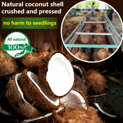Rich in nitrogen, phosphorus, and potassium elements 🌿 Coco Coir Sterile Potting Mix