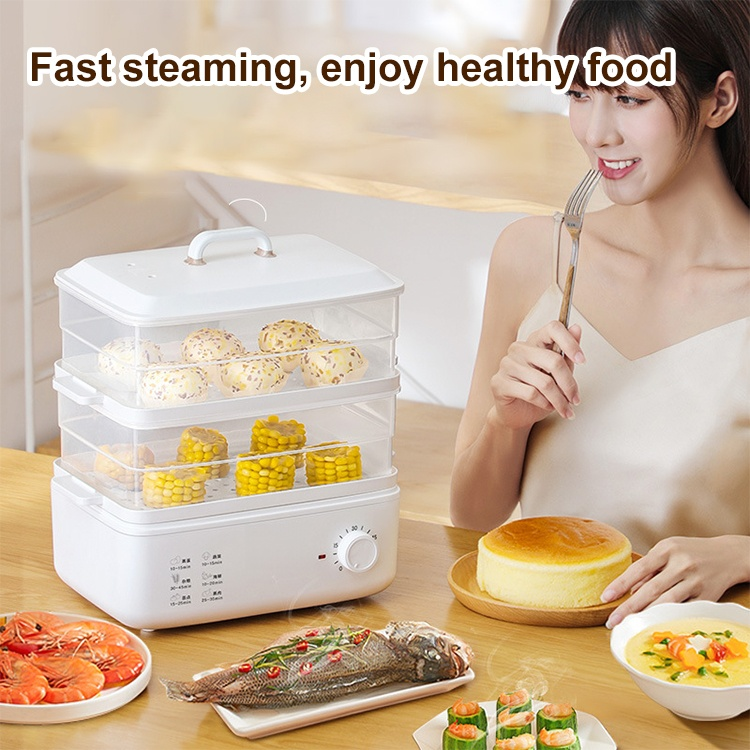 Multi-purpose double-layer electric steamer