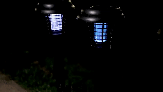 evo5cn1o0geyz7i5zyk_312808105170_mp4_264_hd_2[00-00-00--00-00-03].gif