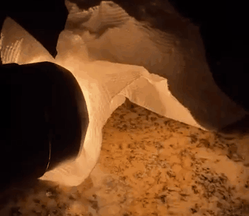 15.gif