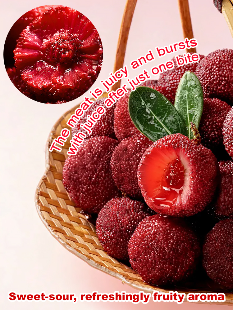 A new variety of red berry resistant to cold, drought and pests! 🌿🍒 Plant now, harvest in June!