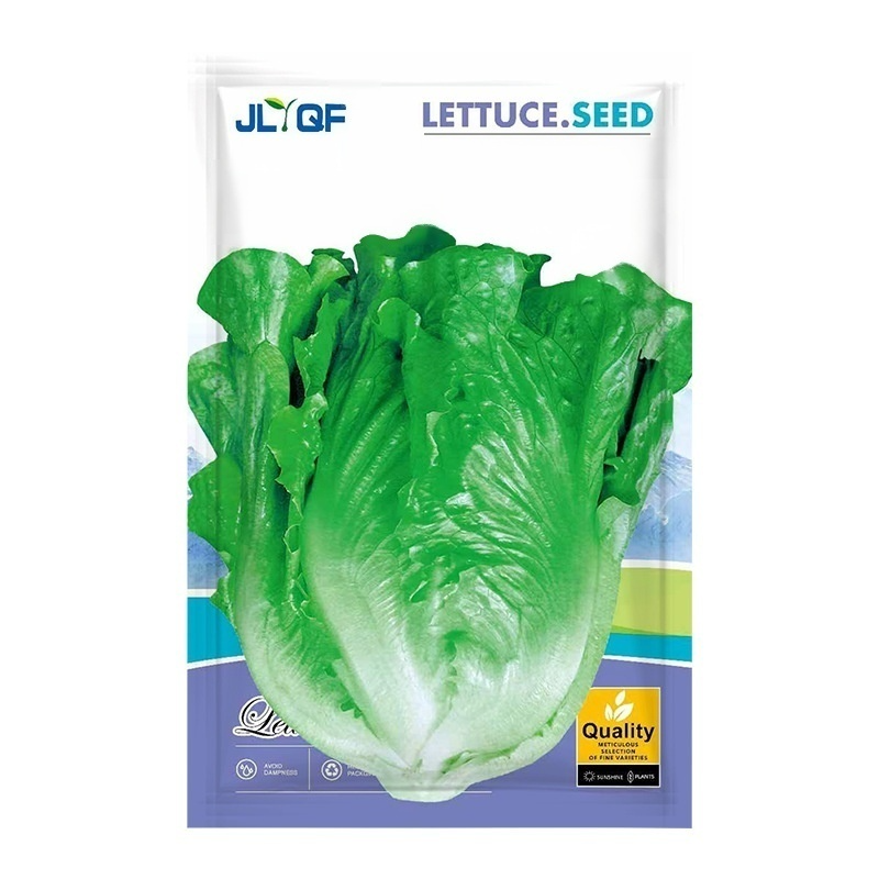 [3000 seeds per pack] 3-day germination, 4-season fast-growing hydroponic lettuce seeds
