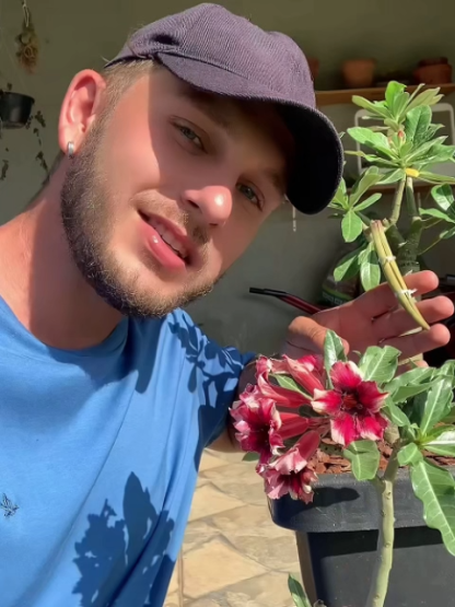 🌹【Desert Rose】Natural perfume, heat and cold resistant, 🌸 flowering period over 200 days! 💧 Only need to water twice a year!