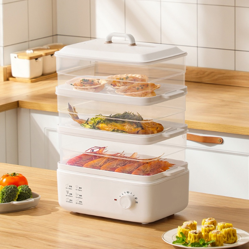 Multi-purpose double-layer electric steamer