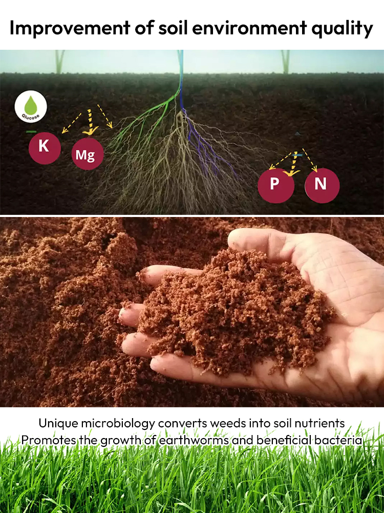 🌱Scientifically Engineered for US Soil♻️ Targeted Weed Removal | 10X Faster Eco-Friendly Herbicide