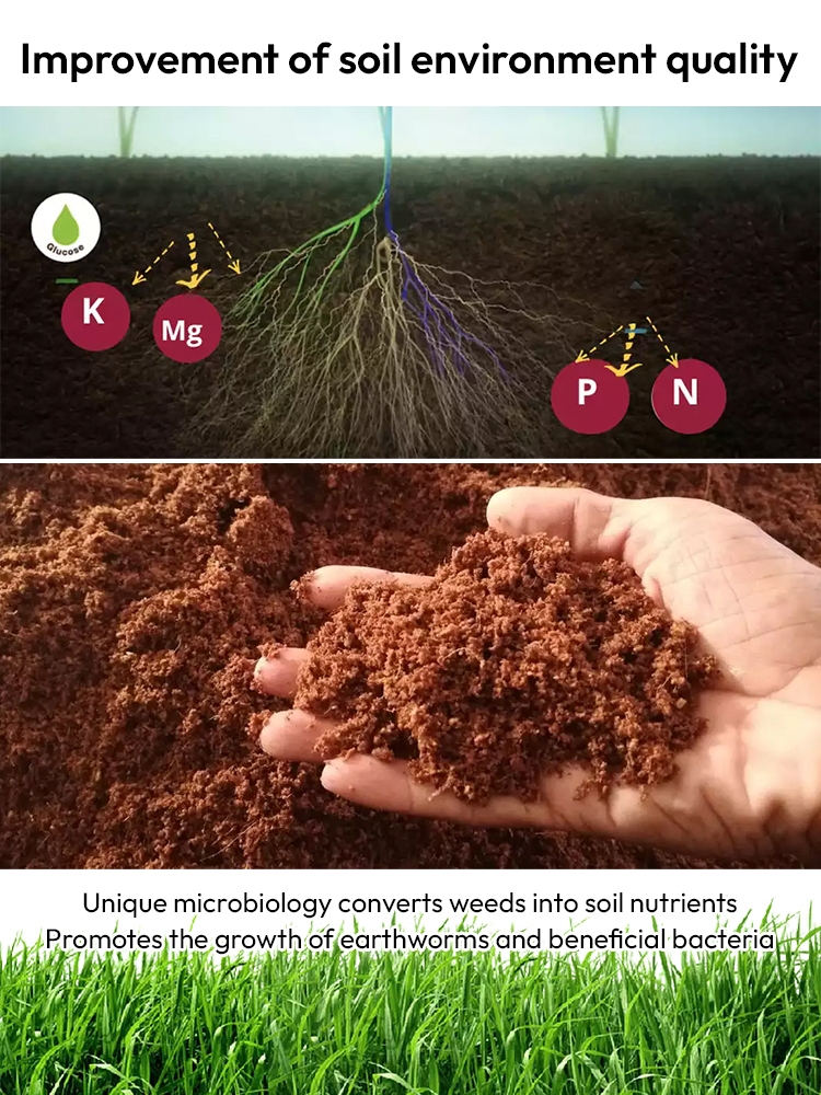 🌱Scientifically Engineered for US Soil♻️ Targeted Weed Removal | 10X Faster Eco-Friendly Herbicide