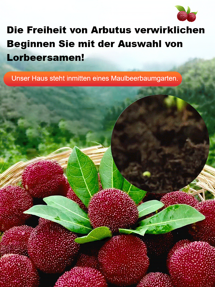 A new variety of red berry resistant to cold, drought and pests! 🌿🍒 Plant now, harvest in June!