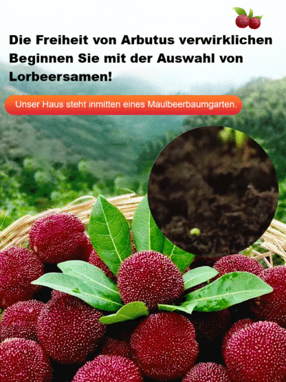 A new variety of red berry resistant to cold, drought and pests! 🌿🍒 Plant now, harvest in June!