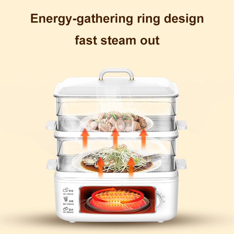 Multi-purpose double-layer electric steamer