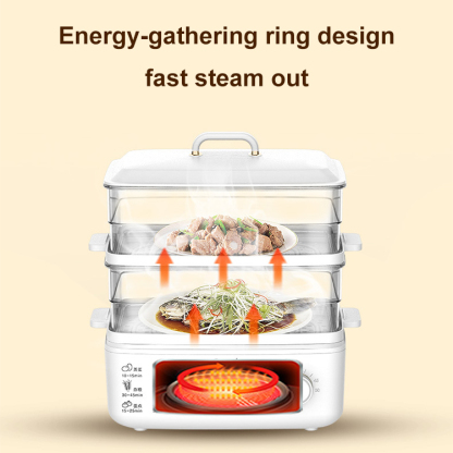 Multi-purpose double-layer electric steamer