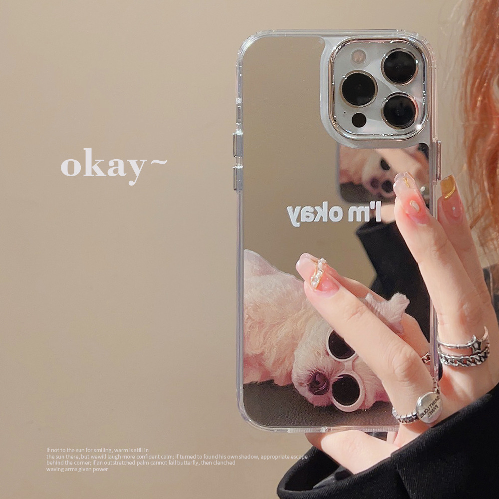 🎀Minimalist Ins-Style Mirror Phone Case (For iPhone 11/12/13/14/15/16/17 Pro Max)